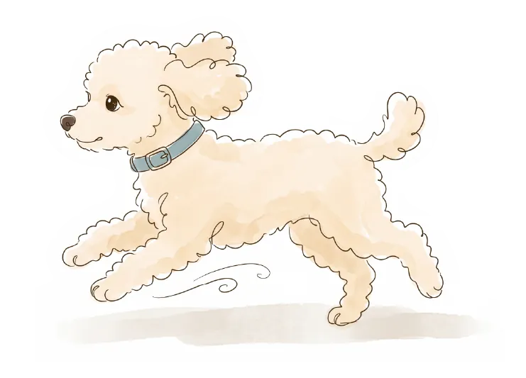 宮崎県を走る犬のイラスト